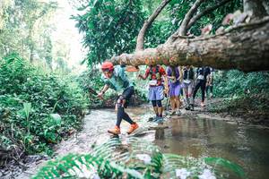 BIB: 
                            <button type="button" onclick="openModal(25464369)" class="btn btn-primary btn-sm float-right btn-popup" data-toggle="modal" data-target=".modal-high-quality">
                        <i class="fas fa-shopping-cart"></i> Add to Cart
                    </button>
                                            <button type="button" onclick="isThisMe(25464369, true)" class="btn btn-success btn-sm float-right btn-popup btn-isme hidden" data-toggle="tooltip" data-placement="bottom" title="นี่คือรูปของคุณใช่ไหม คลิกที่นี่เพื่อเอาเข้าอัลบั้ม">
                        <i class="fas fa-plus"></i> Add to album
                    </button>
                    <button type="button" onclick="isThisMe(25464369, false)" class="btn btn-warning btn-sm float-right btn-popup btn-isnotme hidden">
                        <i class="fas fa-ban"></i> Remove from album
                    </button>